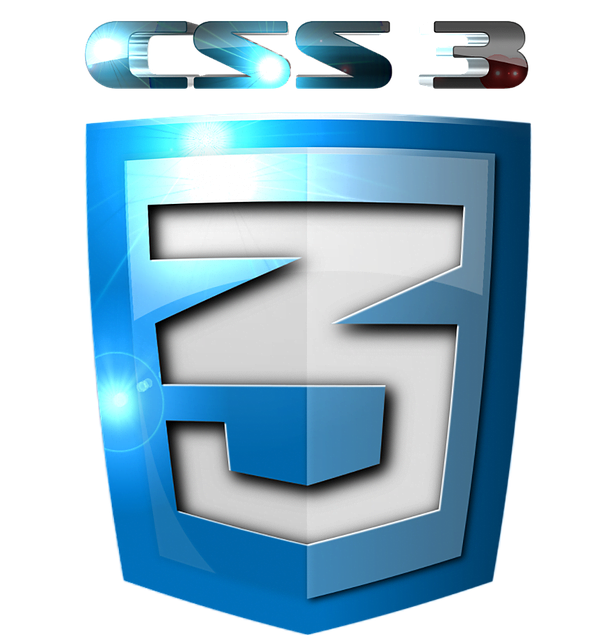 CSS 3 custom logo in blue color where 3 in a shield and CSS3 text on top